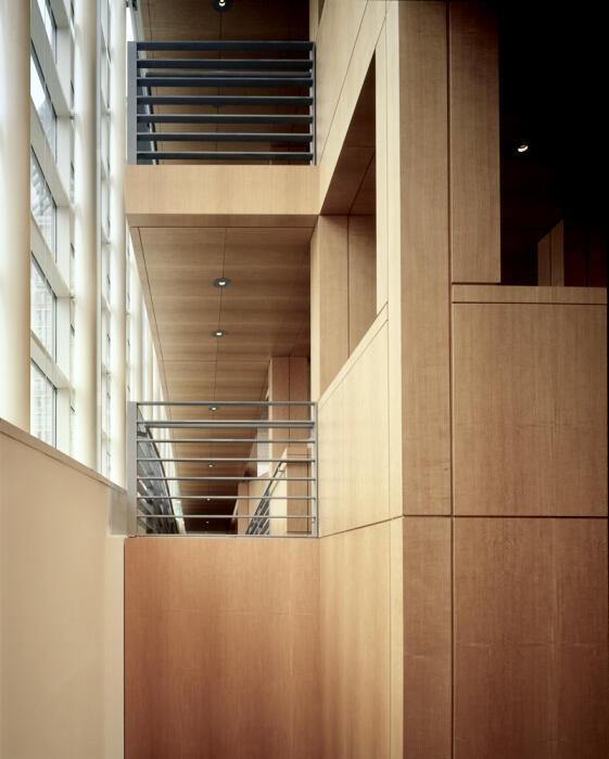 High Muesum Anegre Fiddleback 3.jpeg